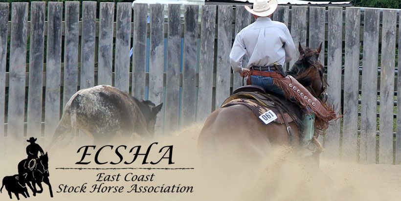 Supporting East Coast Stock Horse Association on 5th & 6th of October, Reva